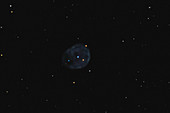 NGC 246, Planetary Nebula