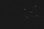 Pegasus, Constellation, Labeled