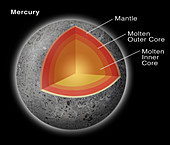 Mercury Cross Section