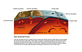 San Andreas Fault, Diagram