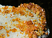 Wulfenite