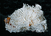 Cerussite Crystals