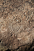 Boulder with Petroglyphs, Oregon