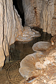 Speleothems in Lagang's Cave