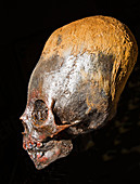 Elongated Skull, Paracas Culture