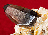 Smokey Quartz Crystal on Microline