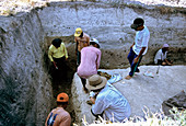 Homo floresiensis excavation