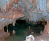 Crystal Caves in Grand Cayman