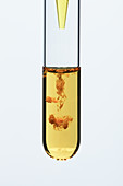 Iron (III) chromate precipitate, 1 of 3