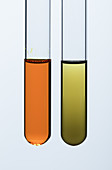 Ethanol oxidation, 2 of 3