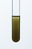 Methanol oxidation, 2 of 3