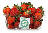 Irradiated Strawberries