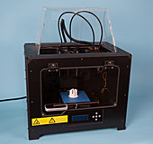 3D Print Being Made in 3D Printer