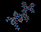 Goserelin, Molecular Model