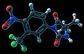 Nilutamide, Molecular Model