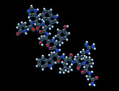 Triptorelin, Molecular Model