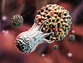 T-lymphocyte attacking a cancer cell, illustration