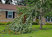 Hurricane Irma residential storm damage