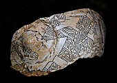 Native American Painted Shell