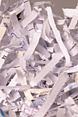 Shredded Documents