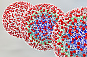 Nanoparticles, Illustration