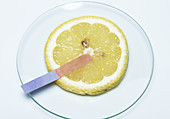 Testing Lemon for Acidity