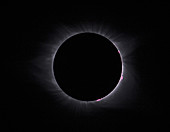 Solar Eclipse, 2017