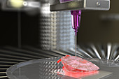 3D Bioprinting of Organs, illustration