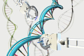 Genetic Engineering, Conceptual Illustration