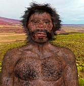 Homo sapiens (Jebel Irhoud), illustration