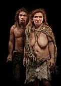 Neanderthal models