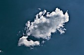 Cumulus humilis cloud