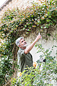 Senior man gardening