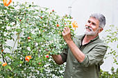 Senior man gardening