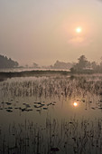 Early morning at Chiang Saen Lake