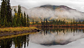 Autumn Scene, Alaska