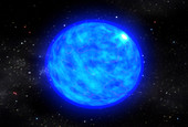 Collapse of a Wolf-Rayet star