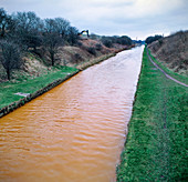 Pollution in Trent and Mersey canal, Staffordshire, UK