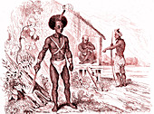 Solomon Islands people, 18th century