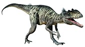 Megalosaurus, illustration