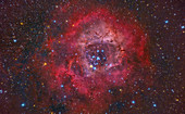 Rosette Nebula, optical image