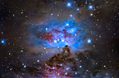 Running Man Nebula, optical image