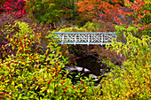 Hiking Trail Footbridge