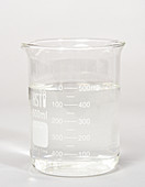 Laboratory Beaker with Clear Liquid