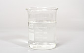 Laboratory Beaker with Clear Liquid