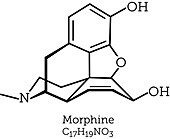 Morphine, molecular model