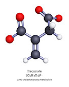 Itaconate, Anti-Inflammatory Metabolite