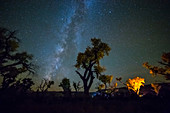 Milky Way and Fire Light UT