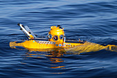 Delta Submersible Craft