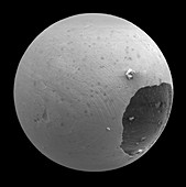 Micrometeorite Structure SEM